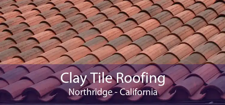 Clay Tile Roofing Northridge - California