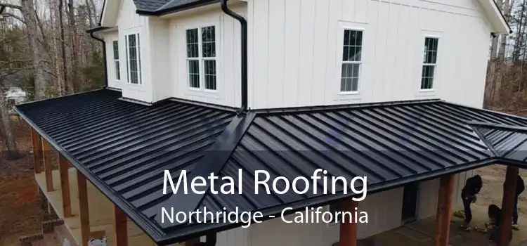 Metal Roofing Northridge - California