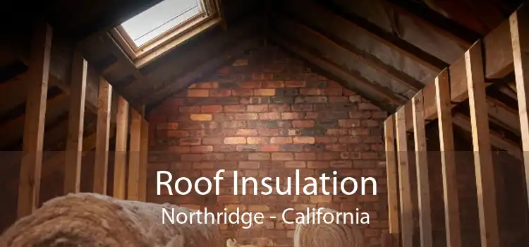 Roof Insulation Northridge - California