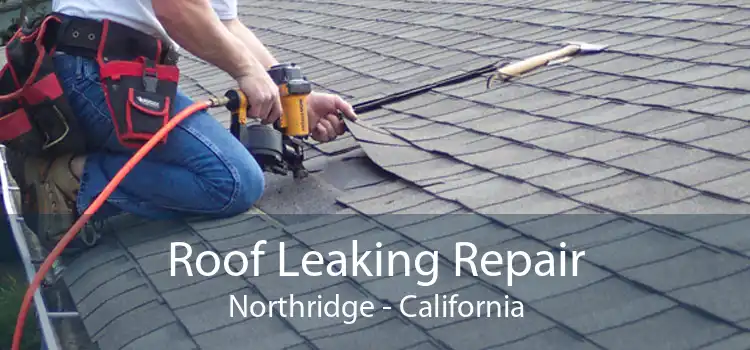 Roof Leaking Repair Northridge - California