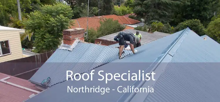 Roof Specialist Northridge - California