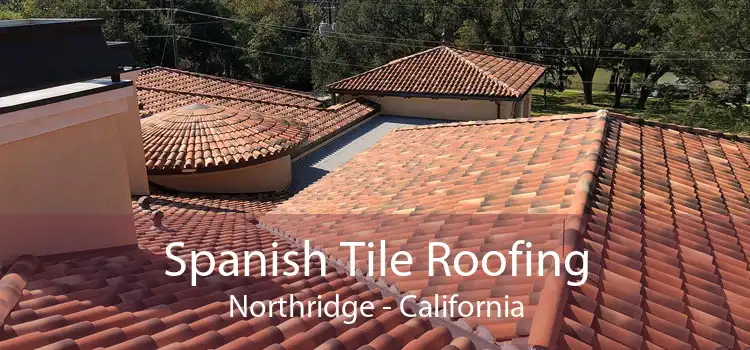 Spanish Tile Roofing Northridge - California